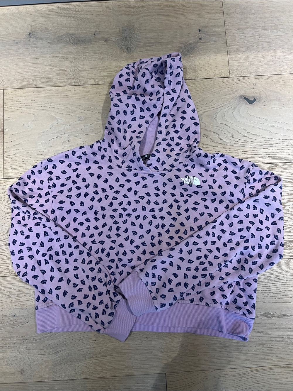 The North Face Kids' Lavender Hoodie with logo print - girls size XXL